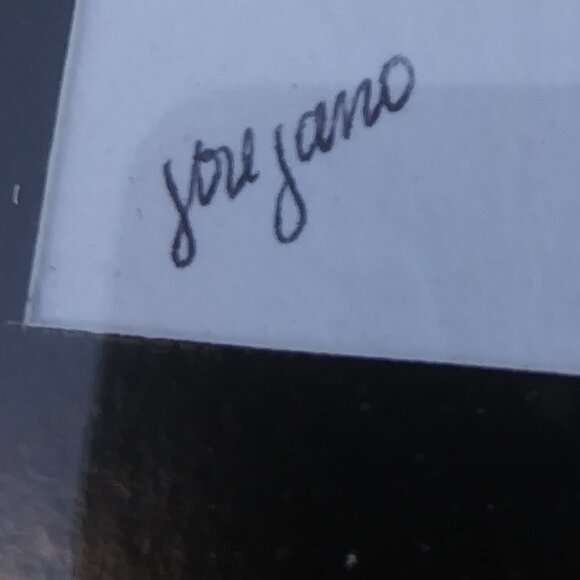 Vintage framed under glass painted feather artist sign from Costa Rica sail boat - Picture 4 of 15